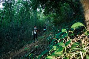 BIB: 
                            <button type="button" onclick="openModal(28124719)" class="btn btn-primary btn-sm float-right btn-popup" data-toggle="modal" data-target=".modal-high-quality">
                        <i class="fas fa-shopping-cart"></i> Add to Cart
                    </button>
                                            <button type="button" onclick="isThisMe(28124719, true)" class="btn btn-success btn-sm float-right btn-popup btn-isme hidden" data-toggle="tooltip" data-placement="bottom" title="นี่คือรูปของคุณใช่ไหม คลิกที่นี่เพื่อเอาเข้าอัลบั้ม">
                        <i class="fas fa-plus"></i> Add to album
                    </button>
                    <button type="button" onclick="isThisMe(28124719, false)" class="btn btn-warning btn-sm float-right btn-popup btn-isnotme hidden">
                        <i class="fas fa-ban"></i> Remove from album
                    </button>